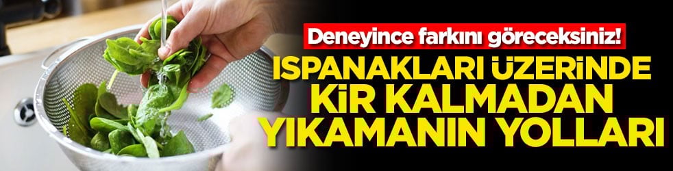 Deneyince farkını göreceksiniz! Ispanakları üzerinde kir kalmadan yıkamanın yolları
