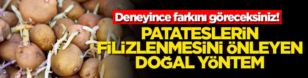 Deneyince farkını göreceksiniz! Patateslerin filizlenmesini önleyen doğal yöntem