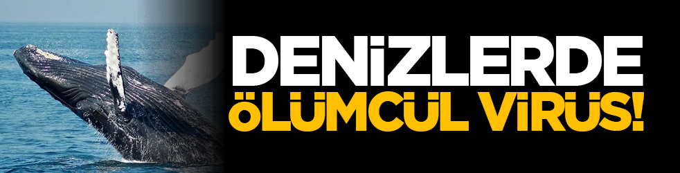 Denizlerde ölümcül virüs!