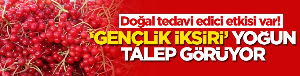Doğal tedavi edici etkisi var! ‘Gençlik iksiri' yoğun talep görüyor