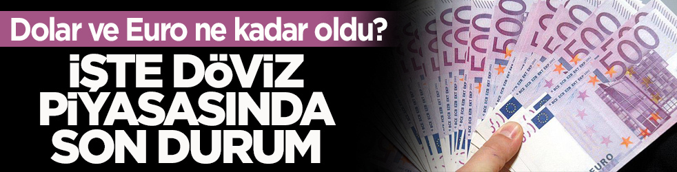 Dolar ve Euro ne kadar oldu? İşte döviz piyasasında son durum