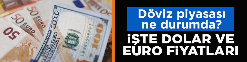 Döviz piyasası hafta sonu ne durumda? İşte Dolar ve Euro fiyatları