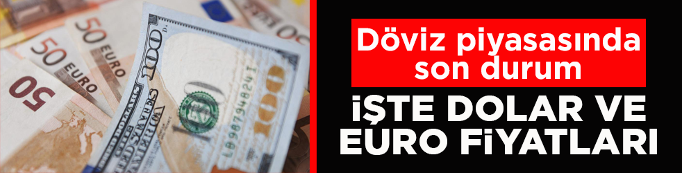Döviz piyasasında son durum! İşte Dolar ve Euro fiyatları