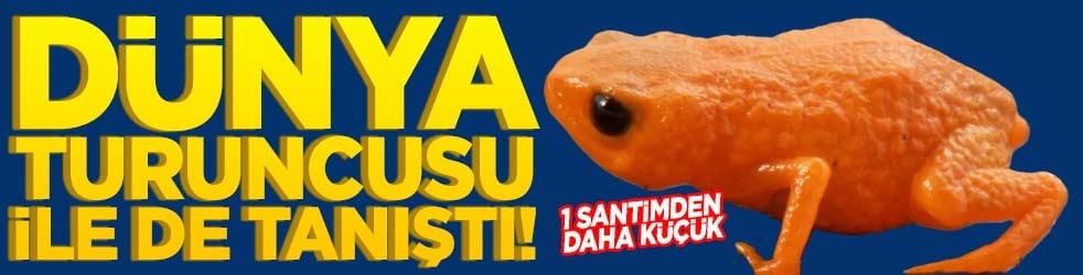 Dünya turuncusu ile de tanıştı!