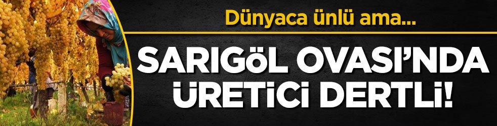 Dünyaca ünlü ama... Sarıgöl Ovası’nda üretici dertli!