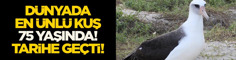 Dünyada bilinen en yaşlı vahşi kuş olarak tarihe geçti: Yeniden geri döndü!