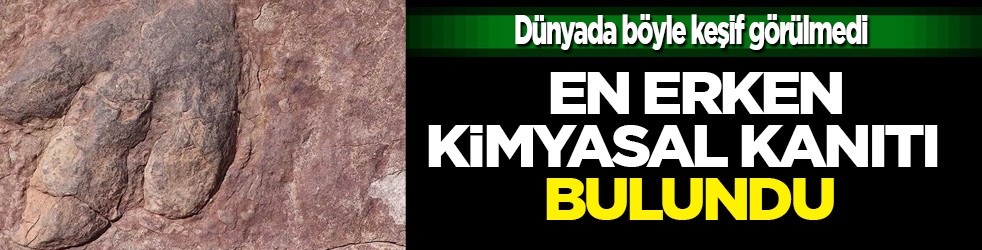 Dünyada ilk kez tarihi büyük sır çözüldü: Afrika ülkesinden 3,3 milyar yıllık teknoloji yöntemi tespit edildi