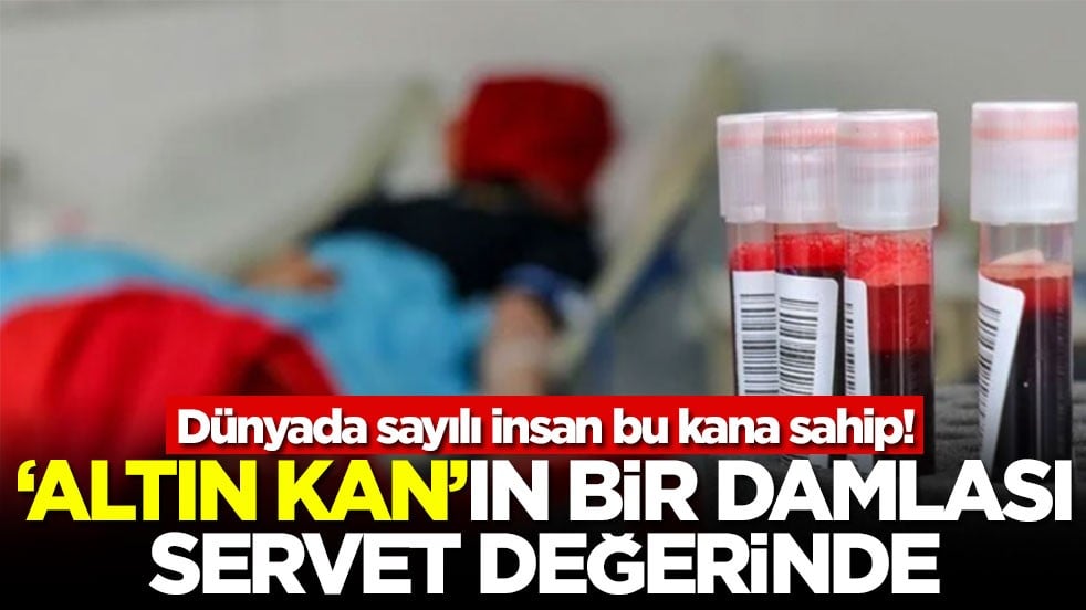Dünyada sayılı insan bu kana sahip! ‘Altın kan'ın bir damlası servet değerinde