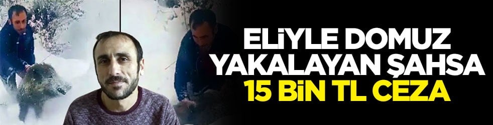 Eliyle domuz yakalayan şahsa 15 bin TL ceza