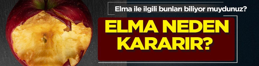 Elma ile ilgili bunları biliyor muydunuz? Kesilmiş elma neden kararır? Hakkında şok sözler: Fabrikaya taşınıyor 