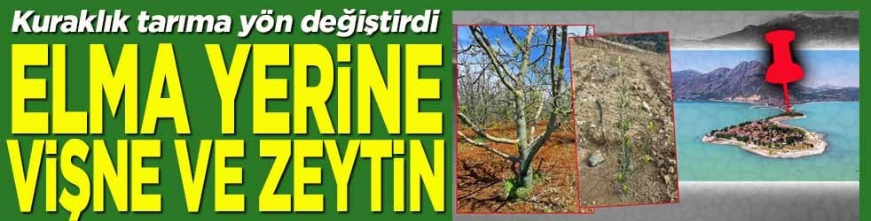 Elma yerine vişne ve zeytin