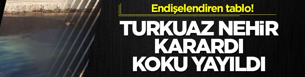 Endişelendiren tablo! Turkuaz nehir karardı, koku yayıldı