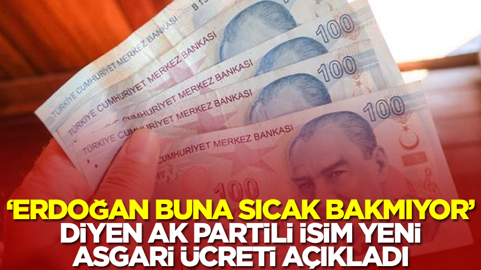'Erdoğan buna sıcak bakmıyor' diyen AK Partili isim yeni asgari ücreti açıkladı