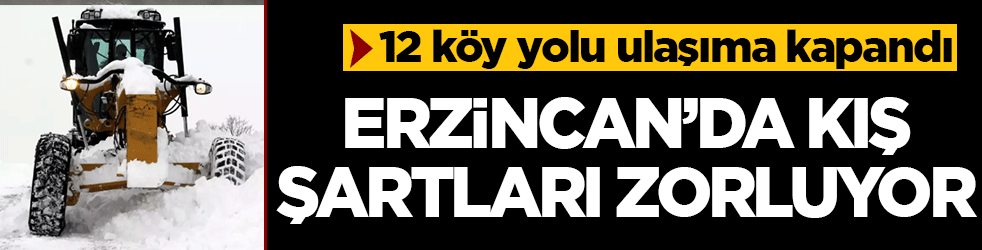 Erzincan’da kış şartları zorluyor: Kar ve tipi nedeniyle 12 köy yolu ulaşıma kapandı
