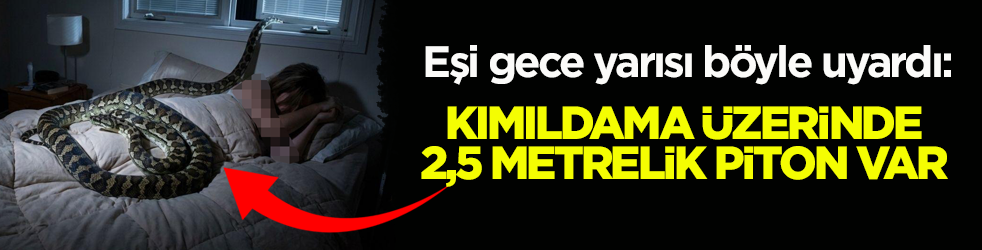 Eşi gece yarısı böyle uyardı: Kımıldama üzerinde 2,5 metrelik piton var