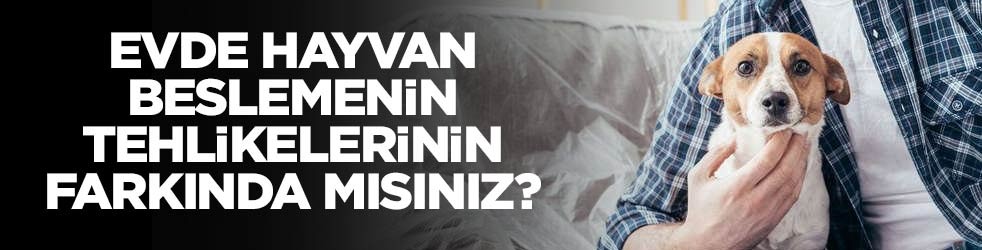 Evde hayvan beslemenin tehlikelerini böyle anlattı: Hiç farkında bile olmadan...