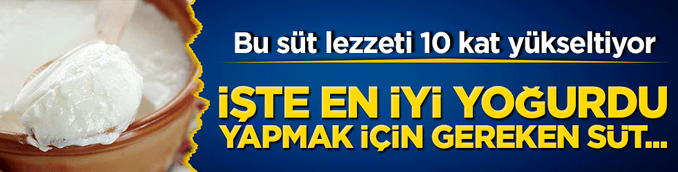 Evde yoğurt keyfi artıyor! Bu süt lezzeti 10 kat yükseltiyor