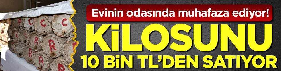 Evinin odasında muhafaza ediyor: Kilosunu 10 bin TL'den satıyor!