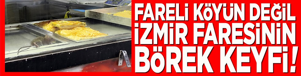 Fareli köyün değil İzmir faresinin börek keyfi!