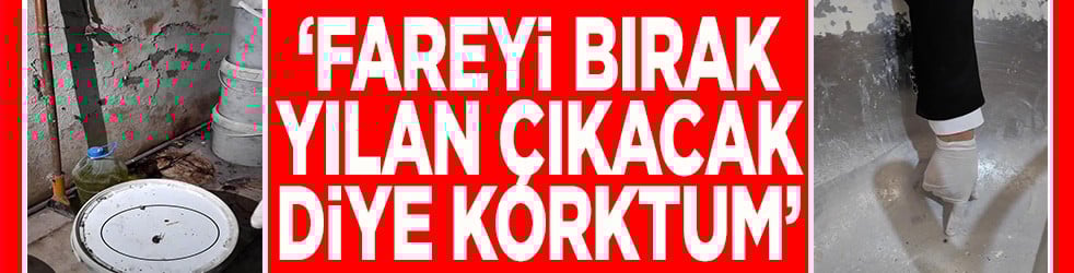 Fareyi bırak yılan çıkacak diye korktum