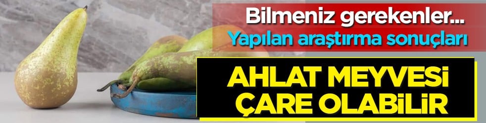 Satışlar patladı, talep çok! Ahlat meyvesi çare olur: Büyük ilgi olmasının nedeni bakın ne? Faydaları ve zararları 