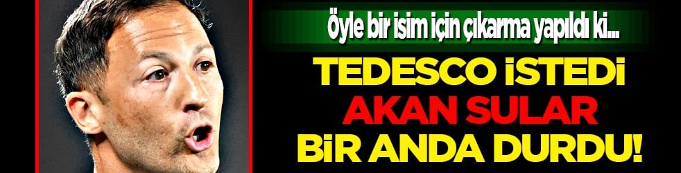 Fenerbahçe Ocak'a hazırlık yapıyor! Müthiş bir isim için Tedesco onay verdi bile.. 