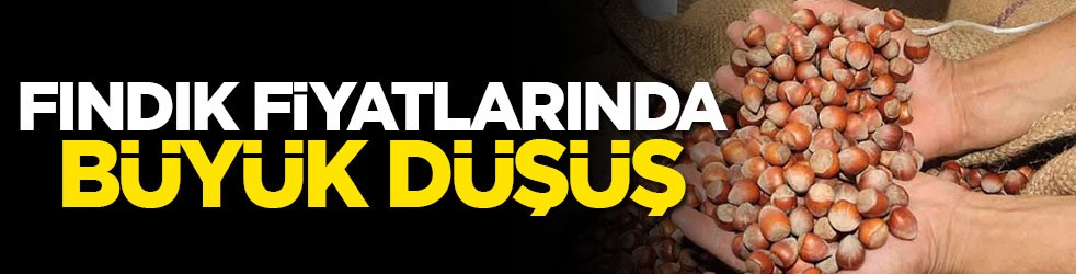 Fındık fiyatların büyük düşüş