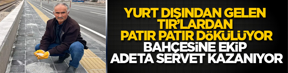 Fırçayla topluyorlar! Yurt dışından gelen TIR’lardan patır patır dökülüyor, bahçesine ekip adeta servet kazanıyor