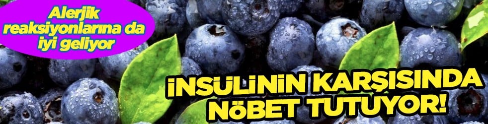 Fundagillerden, insülinin karşısında nöbet tutuyor! Dikkat çekici bir meyve! Ciddi bir zararı yoktur ama...