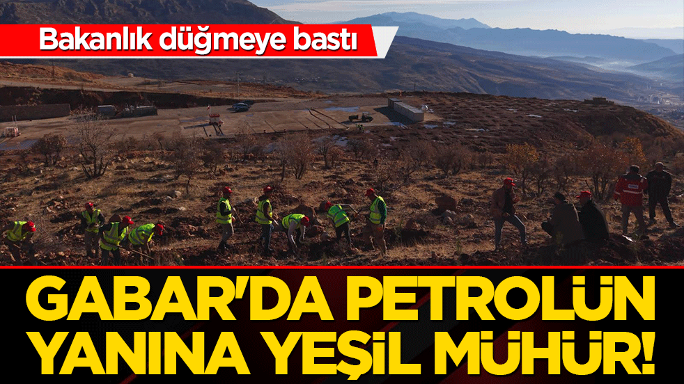 Gabar'da petrolün yanına yeşil mühür! Bakanlık düğmeye bastı