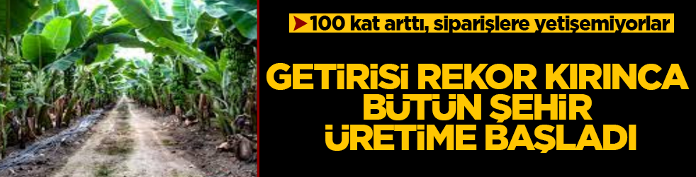 Getirisi rekor kırınca bütün şehir üretime başladı! 100 kat arttı, siparişlere yetişemiyorlar