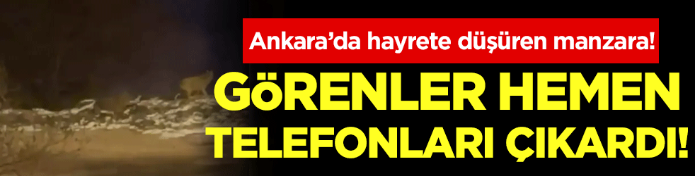 Görenler hemen telefonu çıkardı: Ankara'da hayrete düşüren manzara!