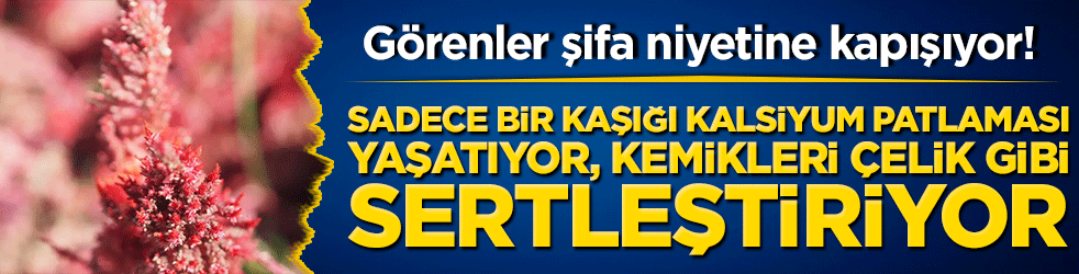 Görenler şifa niyetine kapışıyor! Chia ve kinoayı tahtından etti: Sadece bir kaşığı kalsiyum patlaması yaşatıyor, kemikleri çelik gibi sertleştiriyor