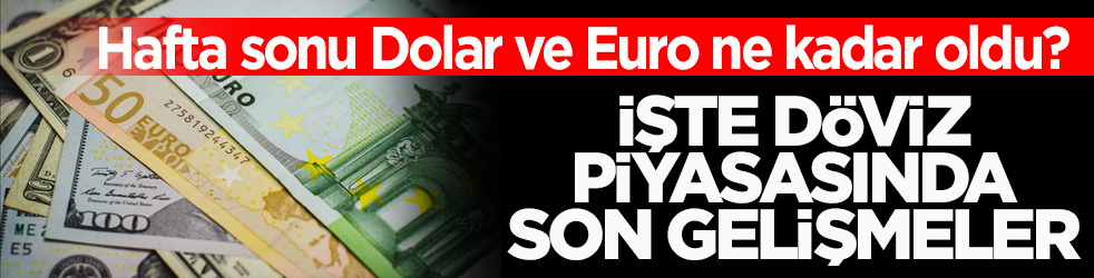Hafta sonu Dolar ve Euro ne kadar oldu? İşte döviz piyasasında son gelişmeler