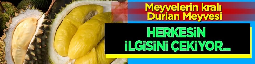 Halk arasında 'Meyvelerin Kralı' olarak biliniyor: Durian yetiştiriciliğinde çok önemli çalışma! Kokusu çok kötü