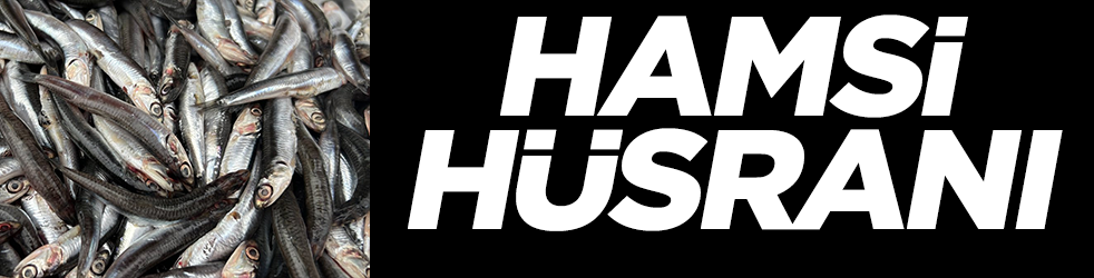 Hamsi hüsranı