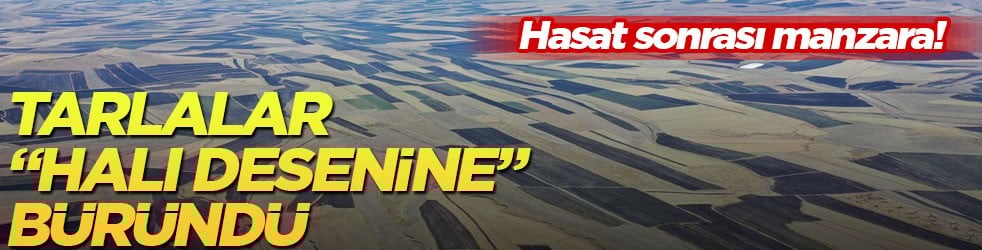 Hasat sonrası büyüleyen manzara! Tarlalar "halı desenine" büründü