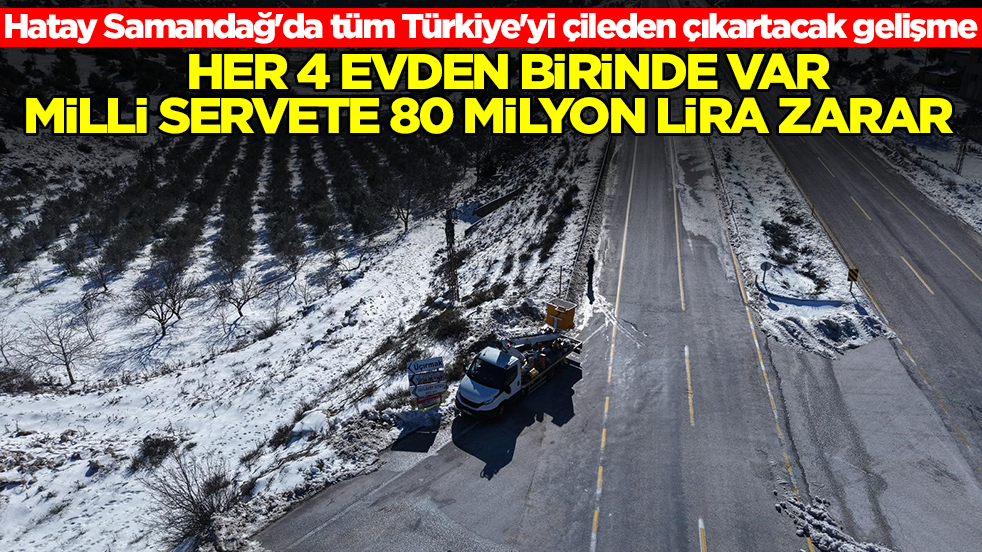 Hatay Samandağ'da tüm Türkiye'yi çileden çıkartacak gelişme: Her 4 evden birinde var, milli servete 80 milyon lira zarar