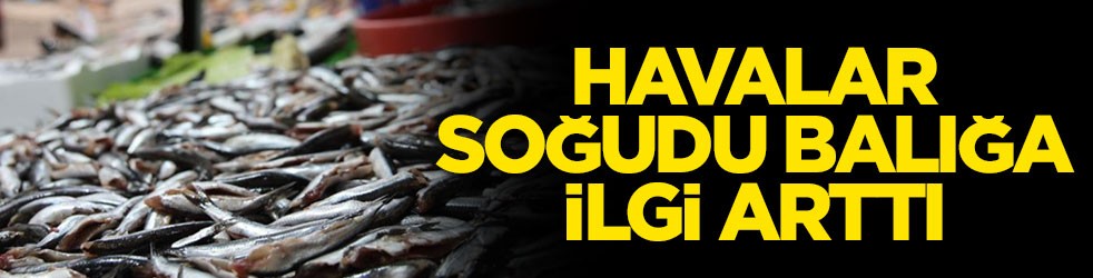 Havalar soğudu balığa ilgi arttı