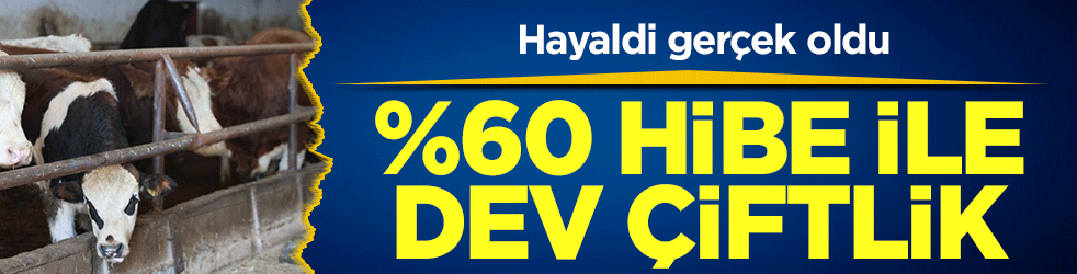 Hayaldi gerçek oldu: Yüzde 60 hibe desteğiyle 300 hayvanlık çiftlik kurdu