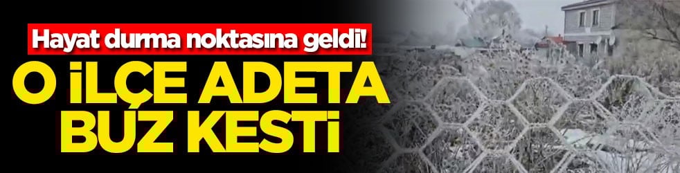 Hayat durma noktasına geldi! O ilçe adeta buz kesti