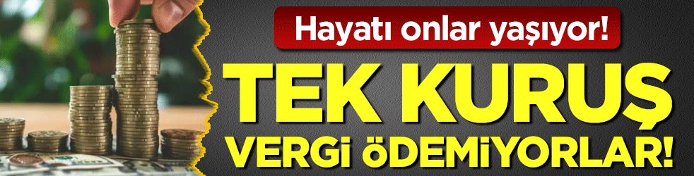 Hayatı onlar yaşıyor: Tek kuruş vergi ödemiyorlar!