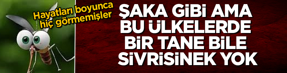 Hayatları boyunca hiç görmemişler! Şaka gibi ama, bu ülkelerde bir tane bile sivrisinek yok