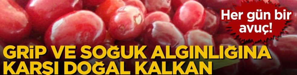 Her gün bir avuç tüketin! Grip ve soğuk algınlığına karşı doğal kalkan
