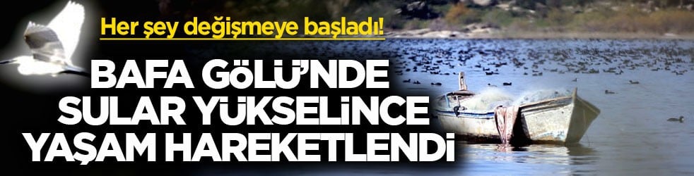 Her şey değişmeye başladı! Bafa Gölü’nde sular yükselince yaşam hareketlendi