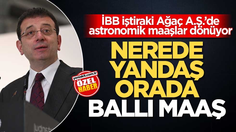 İBB iştiraki Ağaç A.Ş.’de astronomik maaşlar dönüyor! Nerede yandaş orada ballı maaş