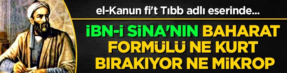 İbn-i Sina'nın siğillere formülü: Ne kurt bırakıyor ne mikrop! Siğillere karşı önerdiği bitki! 