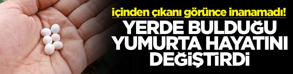 İçinden çıkanı görünce inanamadı! Yerde bulduğu yumurta hayatını değiştirdi