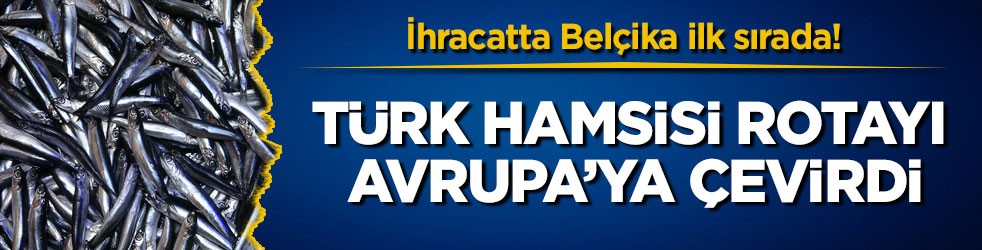 İhracatta Belçika ilk sırada! Türk hamsisi rotayı Avrupa’ya çevirdi