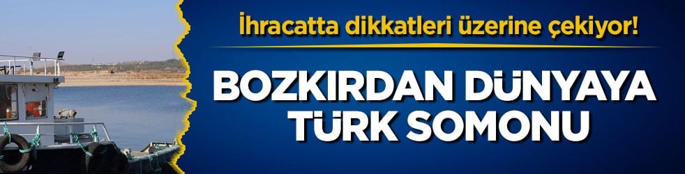İhracatta dikkatleri üzerine çekiyor! Bozkırdan dünyaya Türk somonu